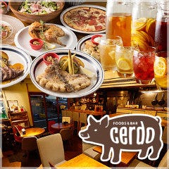 美食酒場 Foodsbar cerdo（セルド）