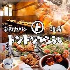 新鮮ヤキトン酒場 トントンびょうし 船橋店