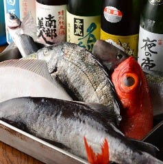 横浜西口 居酒屋さがみ