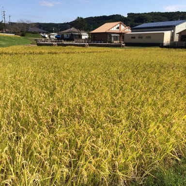 福耳 国分店_炊き立てふっくら!こだわりの白米
