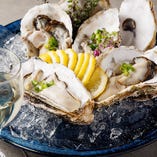 兵庫県産の牡蠣は大粒で濃厚。ぜひ1度ご賞味ください。