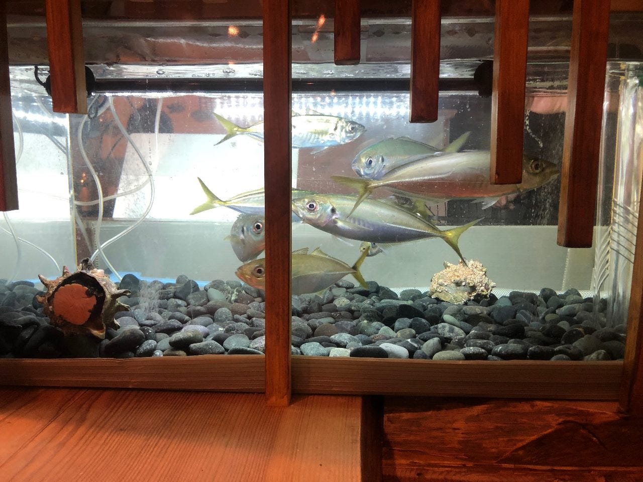 和食 場 冠 本八幡店 和食 居酒屋 和食 場 冠 本八幡店 和食 居酒屋