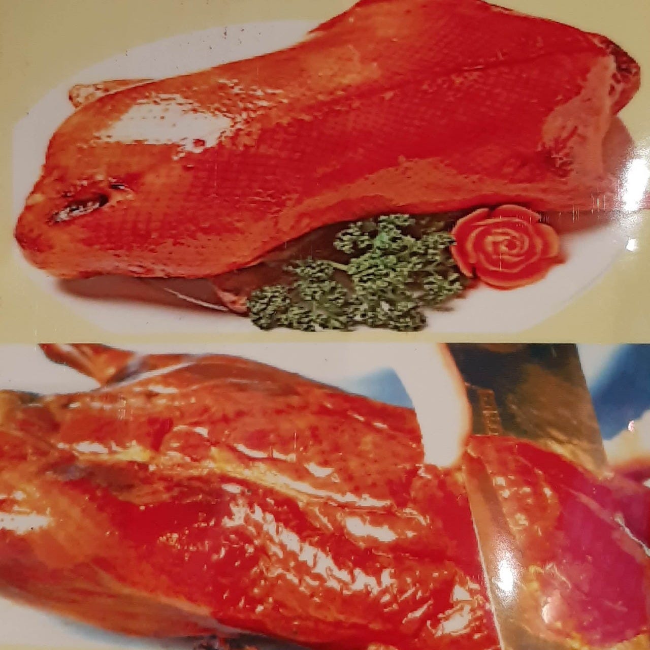 22年 最新グルメ 多摩センターにある夜に子連れで行ける居酒屋 レストラン カフェ 居酒屋のネット予約 東京版 22年 最新グルメ 多摩センターにある夜に子連れで行ける居酒屋 レストラン カフェ 居酒屋のネット予約 東京版