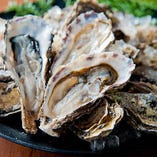 北海道厚岸産のブランド牡蠣をご用意！ぜひご賞味ください