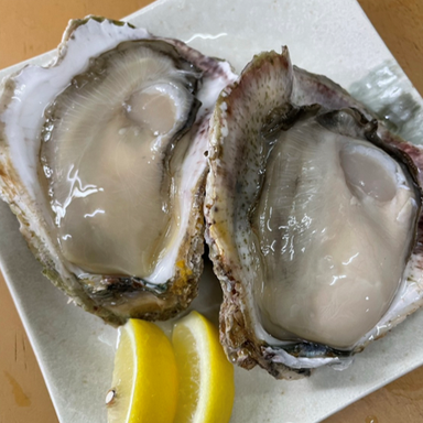 金沢海鮮居酒屋 かき小屋 西くん ‐かき街道249号線‐_珠玉の能登かき・浜焼き