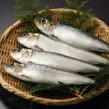 市場直送の新鮮な海鮮・魚介類♪【鹿児島県】
