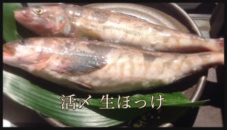 北海道料理 北新地 太田 メニュー 活〆 生ほっけ ぐるなび