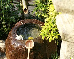 深大寺 柏亭 調布 日本料理 ぐるなび