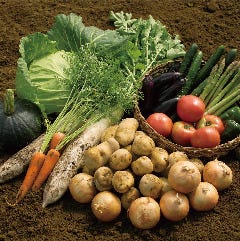 千葉県産 減農薬野菜