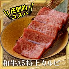 和牛A5ランクカルビが699円から食べれる圧倒的コスパ