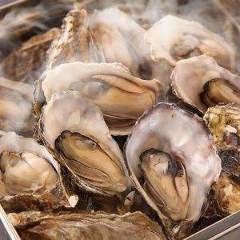 海鮮居酒屋 牡蠣小屋 豊丸水産 広島本通り店 