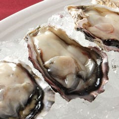兵庫県播磨産　バージンオイスター