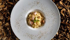 【 -KORIN- 香淋 / 期間限定 】活け蝦夷鮑やタラバ蟹、北京ダック、黒毛和牛など厳選素材の全8品