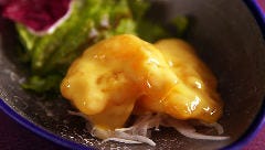 【 平日限定 】点心や大海老のマンゴーマヨネーズなどを楽しむランチコース＜ 牡丹 - Botan -＞　5月～