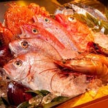 全国の１６７ケ所の漁港から季節の鮮魚を毎日直送！！【千葉県】