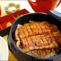 国産ふぐ料理 とらふぐ城 メニュー うなぎ ランチ ぐるなび 国産ふぐ料理 とらふぐ城 メニュー うなぎ ランチ ぐるなび
