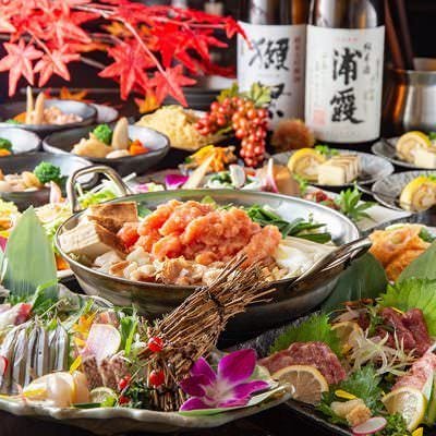 美味しいお店が見つかる 本厚木 厚木 居酒屋 おしゃれな雰囲気 おすすめ人気レストラン ぐるなび
