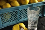 福力特製レモンサワー
国産無添加レモンの本格生搾りサワーです