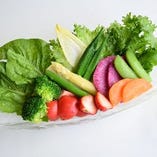 季節野菜の彩りサラダ