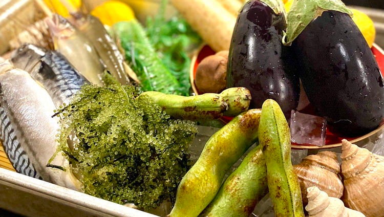 九州うまかもん エビス 戸越総本店