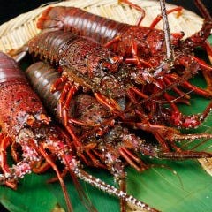 千葉の郷土料理・千葉の地酒 千寿惠 （ちずえ） 千葉 