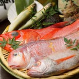 直送の日替り鮮魚を様々な料理で提供
