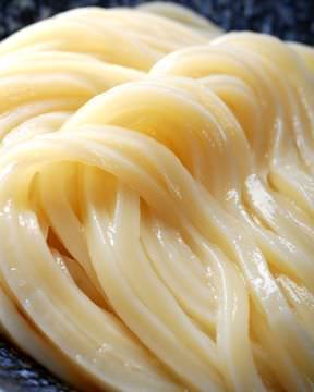 自家製麺 嵐山うどん おづる