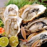 夏が旬！天然岩牡蛎　天然物の今しか食べられない牡蛎！そのクリーミーな味、普通の牡蛎とは、一味違います。