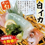 白イカの姿造り（税込1,089円）【後造り】天ぷら・塩焼き（税込165円）お好みの調理法をお選び下さい。※写真はイメージです。※実際の商品と写真の大きさは異なります。