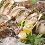 北海道産　牡蠣