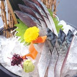 浅〆鯖のお刺身