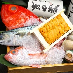 居酒屋 こいこい