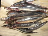鹿児島の美味しい地魚