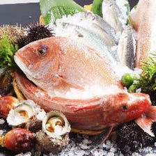 ◆北海道から直送の牡蠣･鮮魚たち