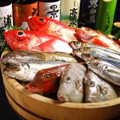 鮮魚1本売り！川崎駅前店限定！