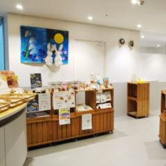 cafe あにみ