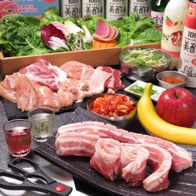 サムギョプサル 韓国料理 バブ 梅田店  コースの画像