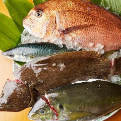 地魚・酒・肴 一九 本八幡店