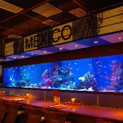 シーフードレストラン メヒコ 有明店_人気の大水槽前のカウンター席。ランチタイムは癒しを求めるオフィスの方々、ディナータイムはデートでのご利用にぴったりです。