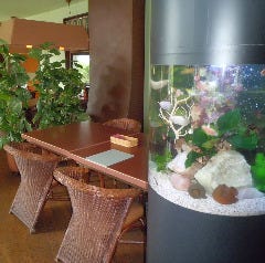 シーフードレストラン メヒコ 有明店_