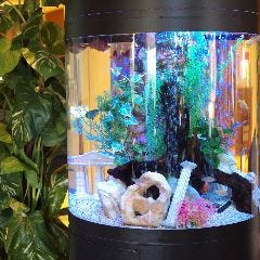 シーフードレストラン メヒコ 有明店_店内中央部に点在する円柱水槽。可愛い小魚が泳いでいます。