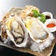 宮城県石巻産「桃浦牡蠣」を使用した牡蠣料理多数ご用意