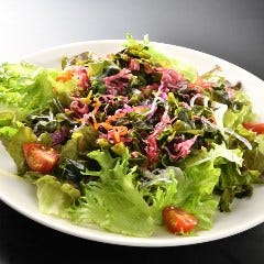 シーフードレストラン メヒコ 有明店_海藻たっぷりサラダ