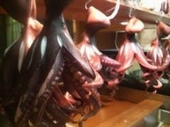 噛めば噛むほど味が出る鹿島の地ダコ