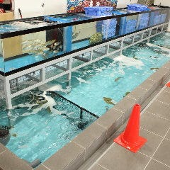 漁師料理よこすか －海辺の湯 久里浜店－