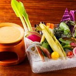 しゃきしゃき食感と旨味たっぷり小田原の地野菜をご堪能ください