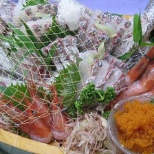 【新鮮食材】築地直送の鮪と魚介類