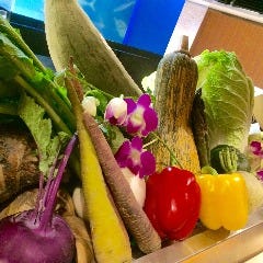 カウンターから眺める新鮮なお野菜