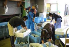 魚匠ダイニング 八潮 自慢の食材 地元熊本の天草を中心とした活魚 ぐるなび 魚匠ダイニング 八潮 自慢の食材 地元熊本の天草を中心とした活魚 ぐるなび