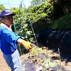 全国の契約農家のひとつ、太田さんの野菜